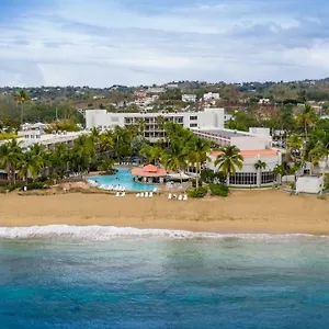 Of The Seas Grand Caribbean 3*, Rincon Puerto Rico